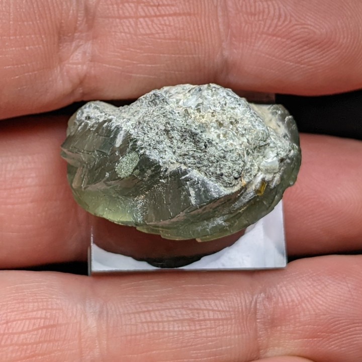 Prehnite, Combe de la Selle, France, 2,9 cm