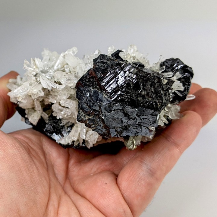 Sphalérite, quartz, Trepca, Kosovo 342 g