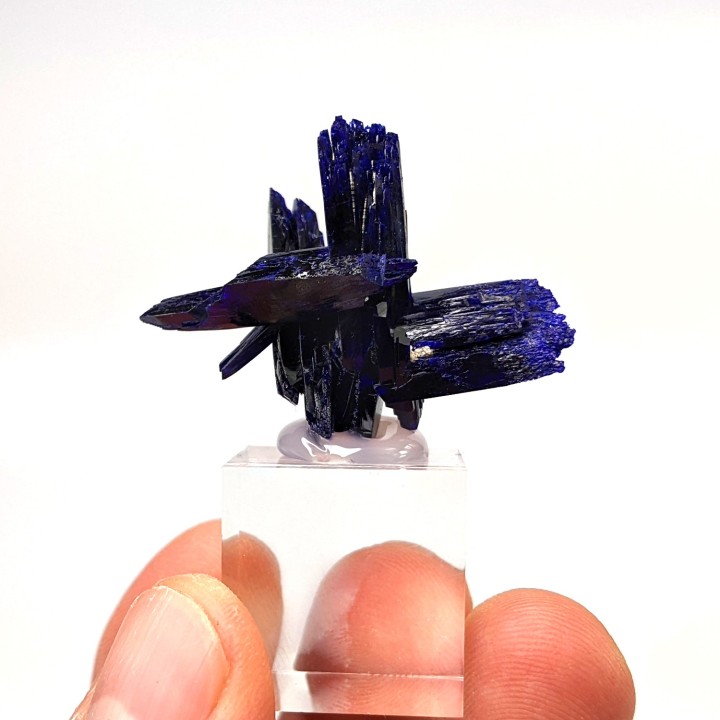 Azurite, Kerouchen, Morocco, 3.6 cm