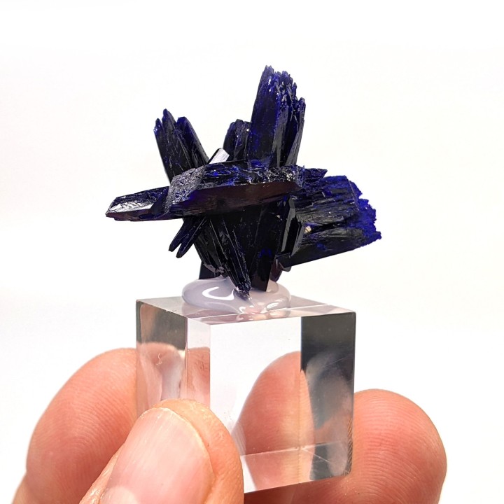 Azurite, Kerouchen, Morocco, 3.6 cm