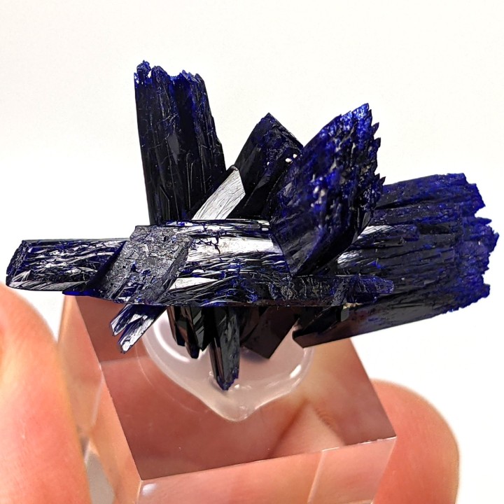 Azurite, Kerouchen, Maroc, 3,6 cm