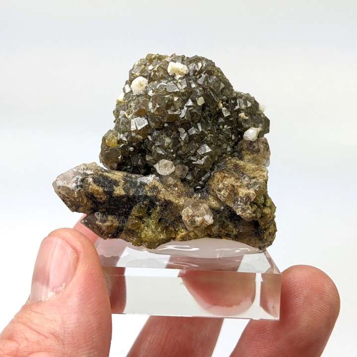 Grenat andradite, Bor Pit skarn, Dalnegorsk, 63 g