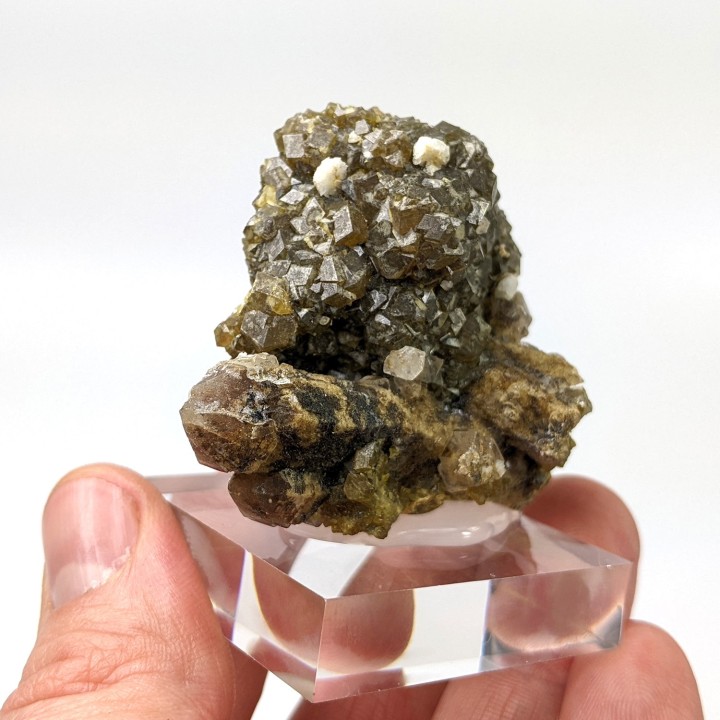 Grenat andradite, Bor Pit skarn, Dalnegorsk, 63 g