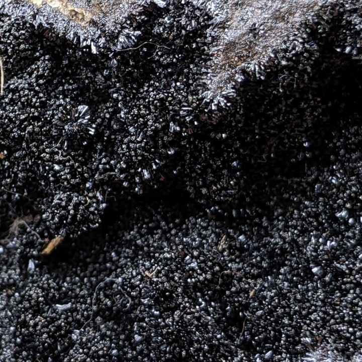 Goethite, Le Kaymar, France, 136 g
