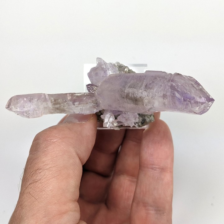Améthyste, Véra Cruz, Mexique, 7,6 cm