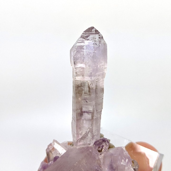 Améthyste, Véra Cruz, Mexique, 7,6 cm