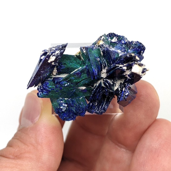 Azurite, malachite, Kerouchen, Morocco, 3.6 cm