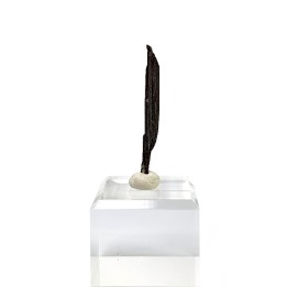 Cuivre natif, mine d'Itauz, Kazakhstan, 3,3 cm