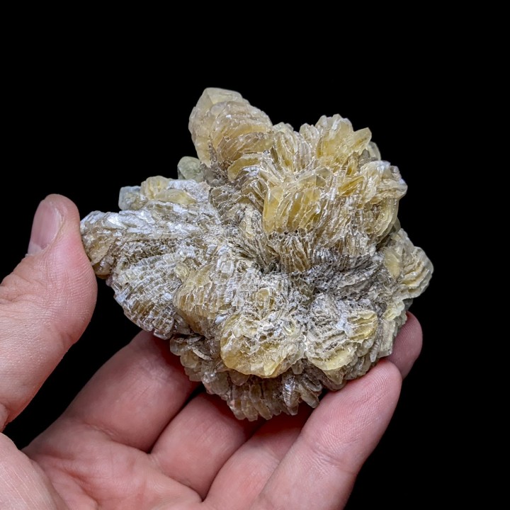 Gypsum, Gmina, Poland, 164 grams