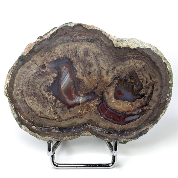 Lithophyse, l'Esterel, France, 255 grammes