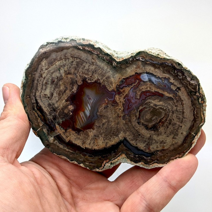 Lithophyse, l'Esterel, France, 255 grammes