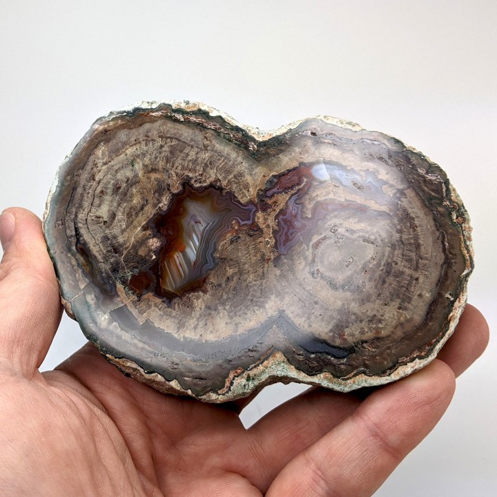Lithophyse, l'Esterel, France, 255 grammes