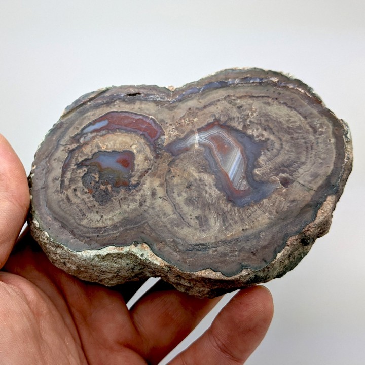 Lithophyse, l'Esterel, France, 255 grammes
