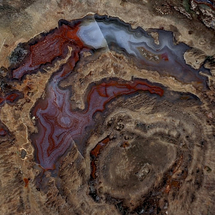 Lithophyse, l'Esterel, France, 255 grammes