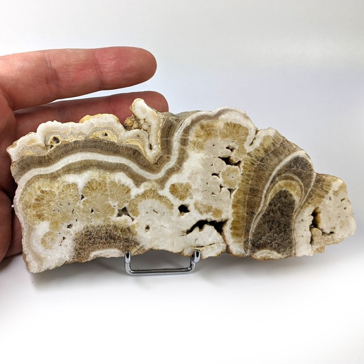 Slice of aragonite, St Aubin, France, 357 grams
