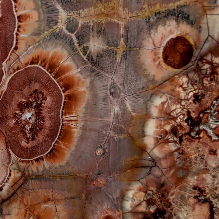 Slice of agate, Mexico, 341 grams