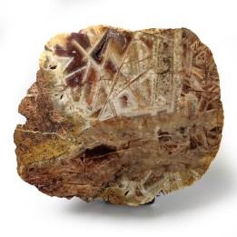 Tranche d'agate géométrique, 802 grammes