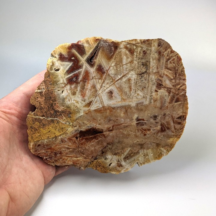 Tranche d'agate géométrique, 802 grammes