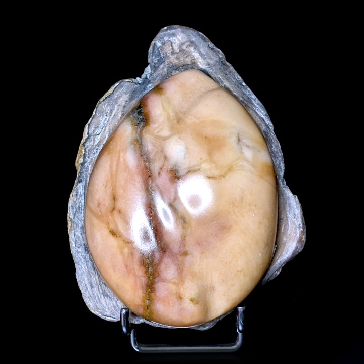 Gypse poli, Dennevy, France, 330 grammes