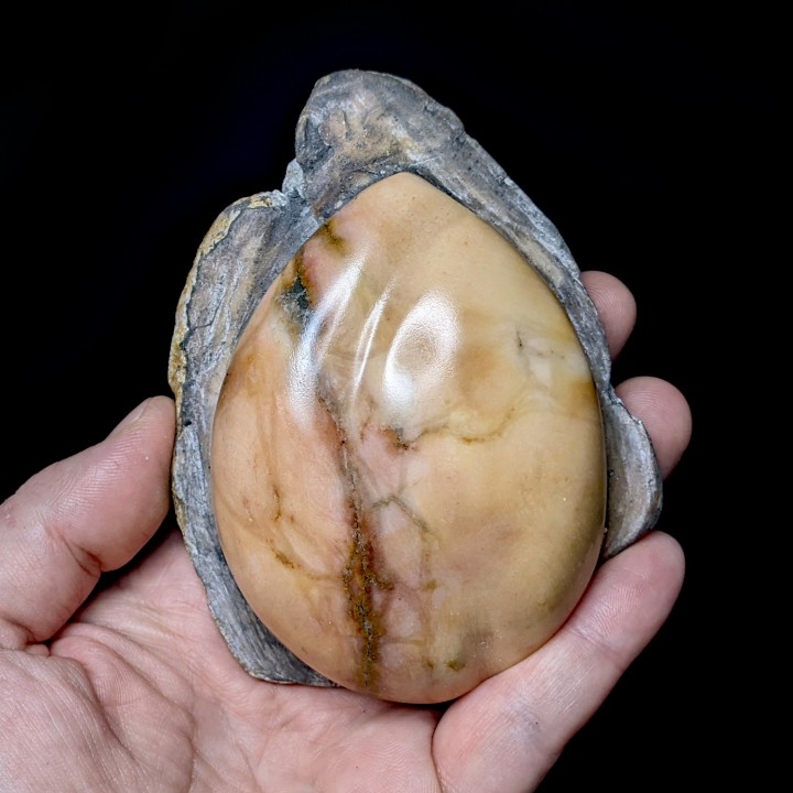 Gypse poli, Dennevy, France, 330 grammes