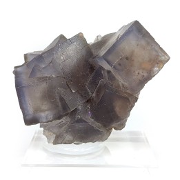Fluorite, Balouchistan, Pakistan, 5,1 cm