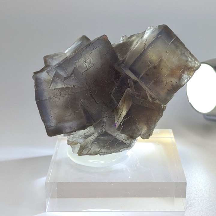 Fluorite, Balouchistan, Pakistan, 5,1 cm