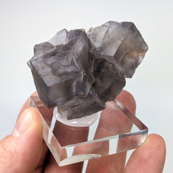 Fluorite, Balouchistan, Pakistan, 5,1 cm