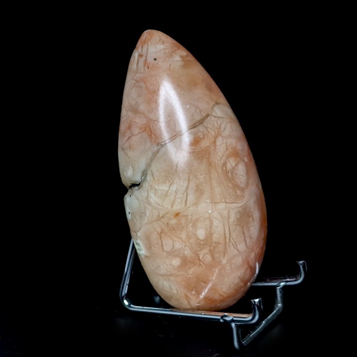 Polished gypsum, Dennevy, France, 99 grams