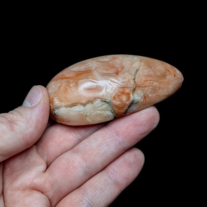 Polished gypsum, Dennevy, France, 99 grams