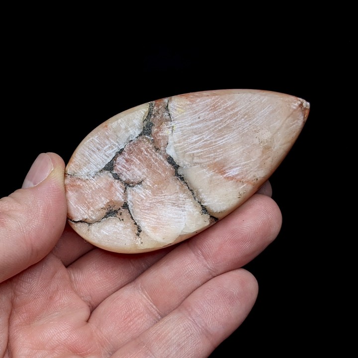 Polished gypsum, Dennevy, France, 99 grams