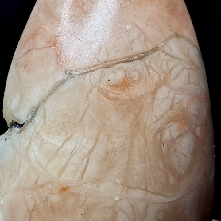 Polished gypsum, Dennevy, France, 99 grams
