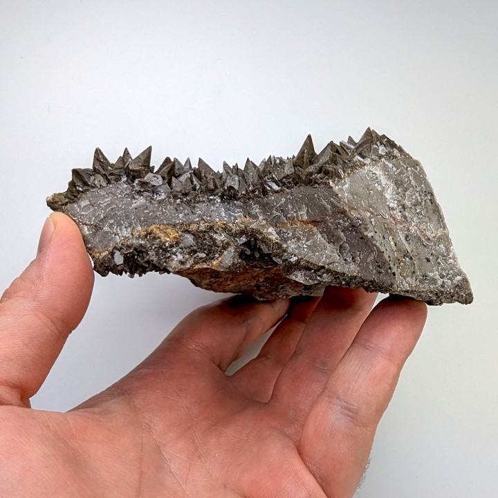 Calcite, Chihuahua, Mexico, 11.1 cm