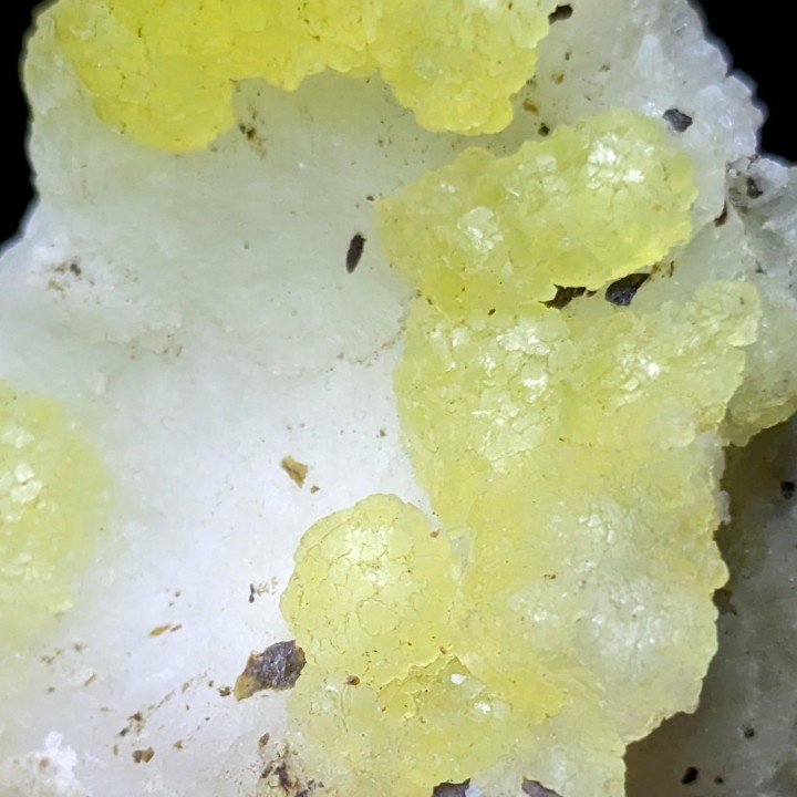 Brucite, Qilla Saif Ullah, Pakistan, 50 grams