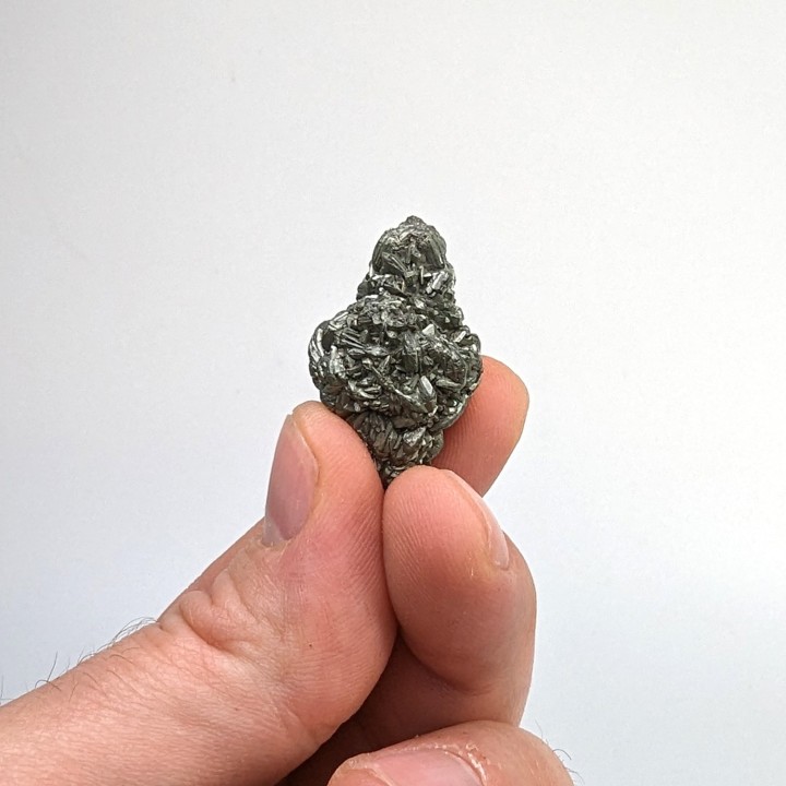 Sperkise, Cap Blanc-Nez, France, 3 cm
