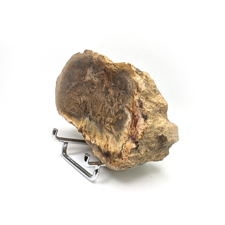 Bois fossile, Morvan, France, 131 grammes