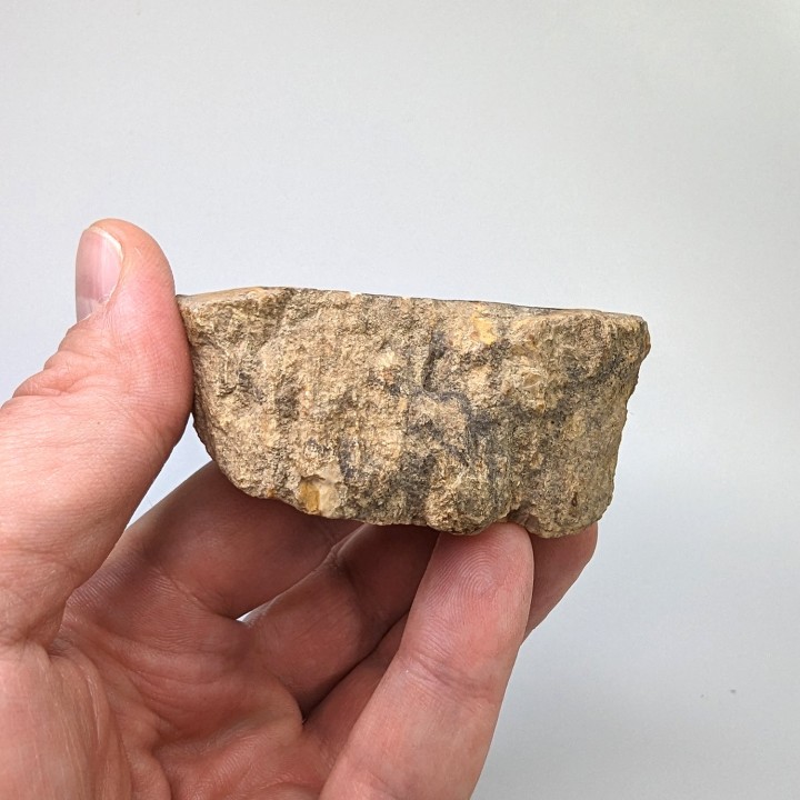 Bois fossile, Morvan, France, 131 grammes