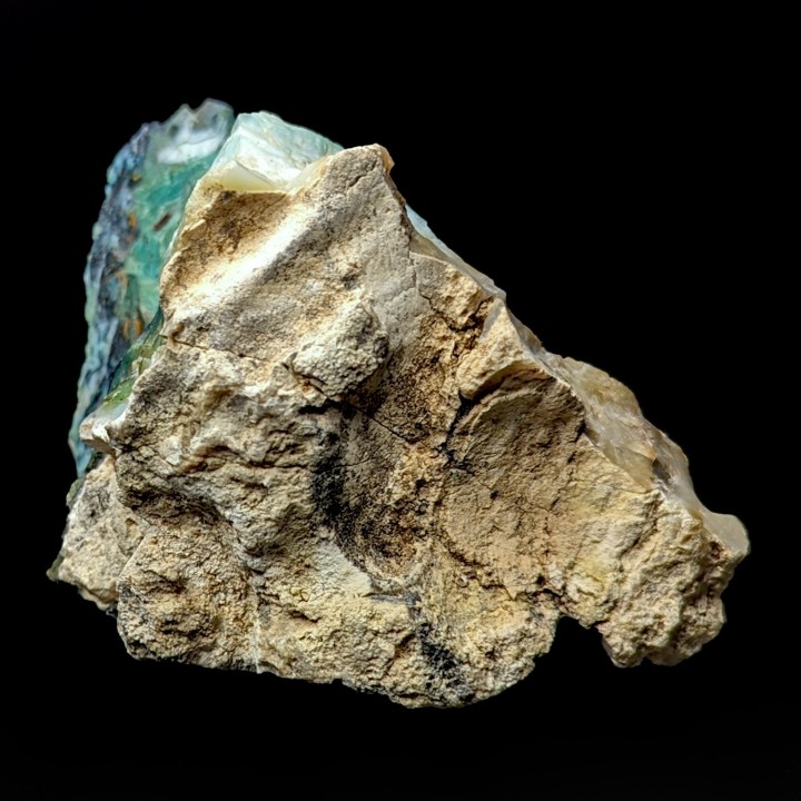 Bois opalisé, Indonésie, mont Tjikolak 442 grammes