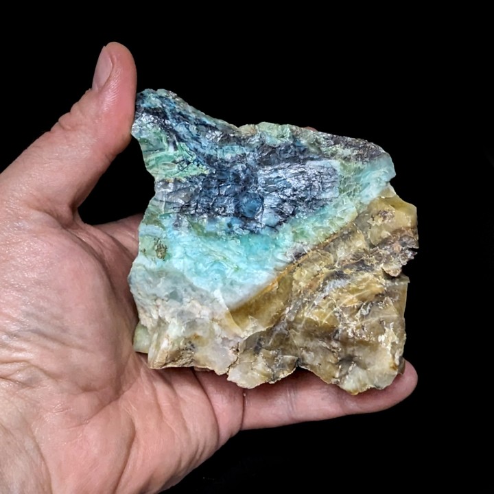 Bois opalisé, Indonésie, mont Tjikolak 442 grammes