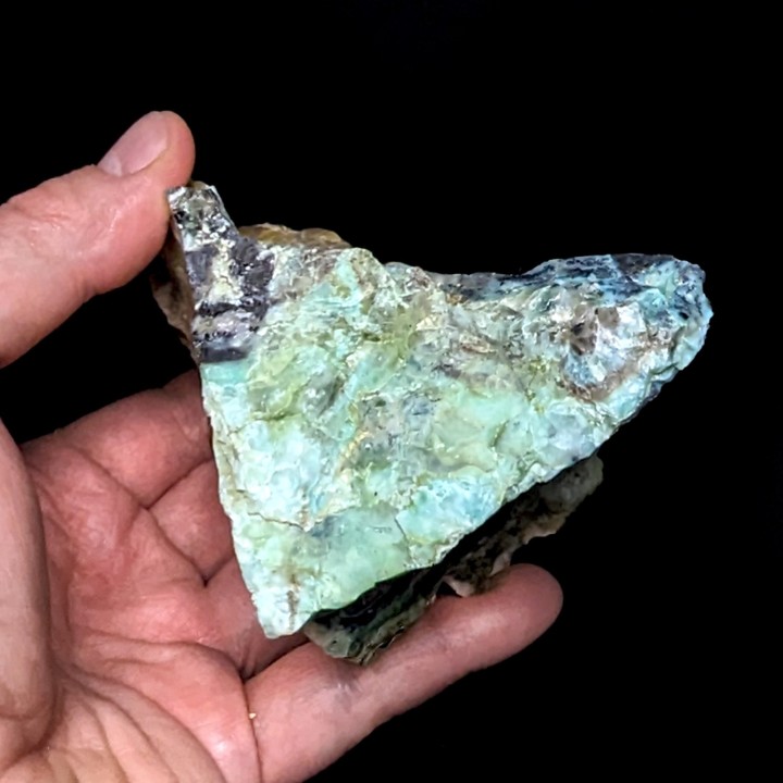 Bois opalisé, Indonésie, mont Tjikolak 442 grammes