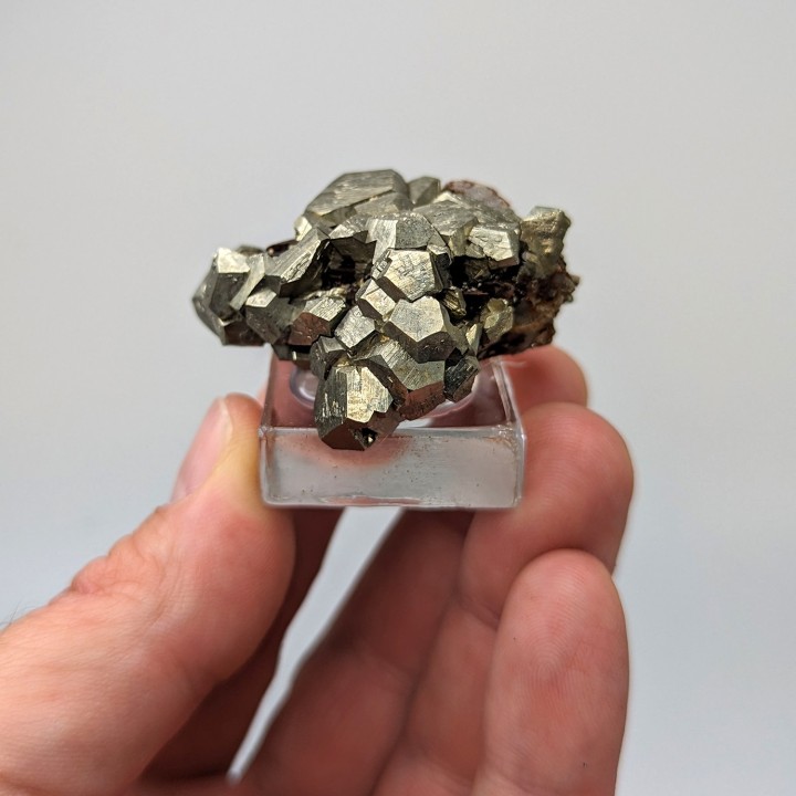 Pyrite, sidérite, Mine de Mésage, France, 4,4 cm