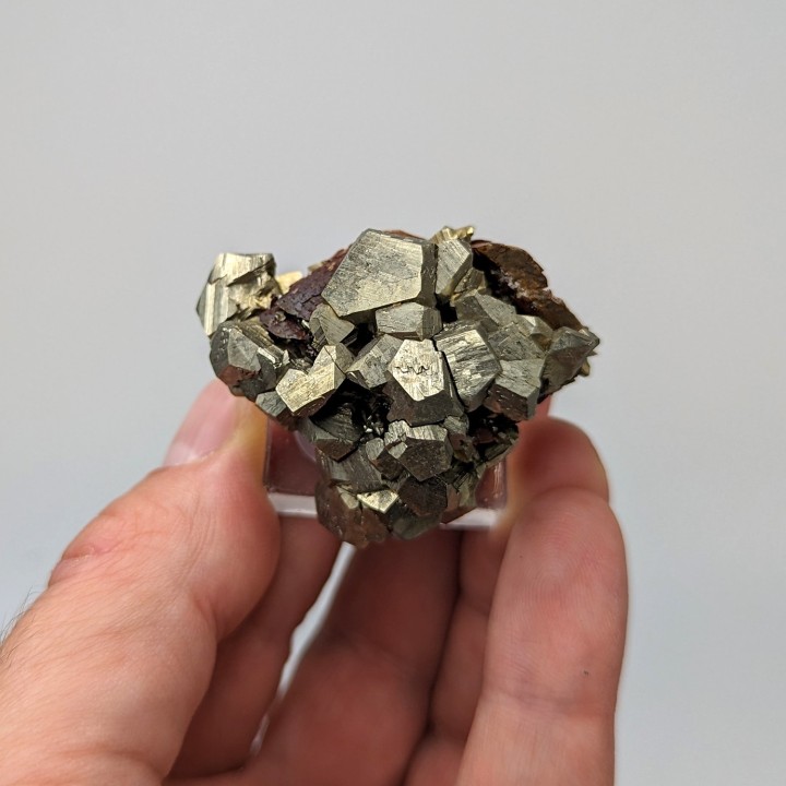Pyrite, sidérite, Mine de Mésage, France, 4,4 cm