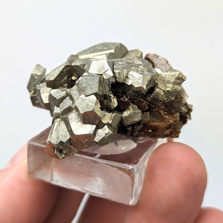 Pyrite, sidérite, Mine de Mésage, France, 4,4 cm