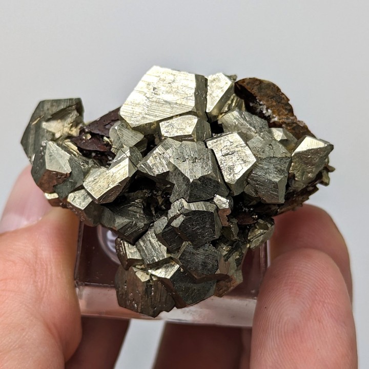 Pyrite, sidérite, Mine de Mésage, France, 4,4 cm