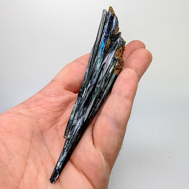 Vivianite, Cabeça do Cachorro, Brazil, 13.2 cm