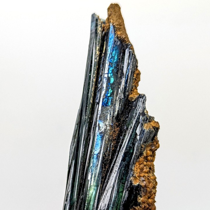 Vivianite, Cabeça do Cachorro, Brazil, 13.2 cm