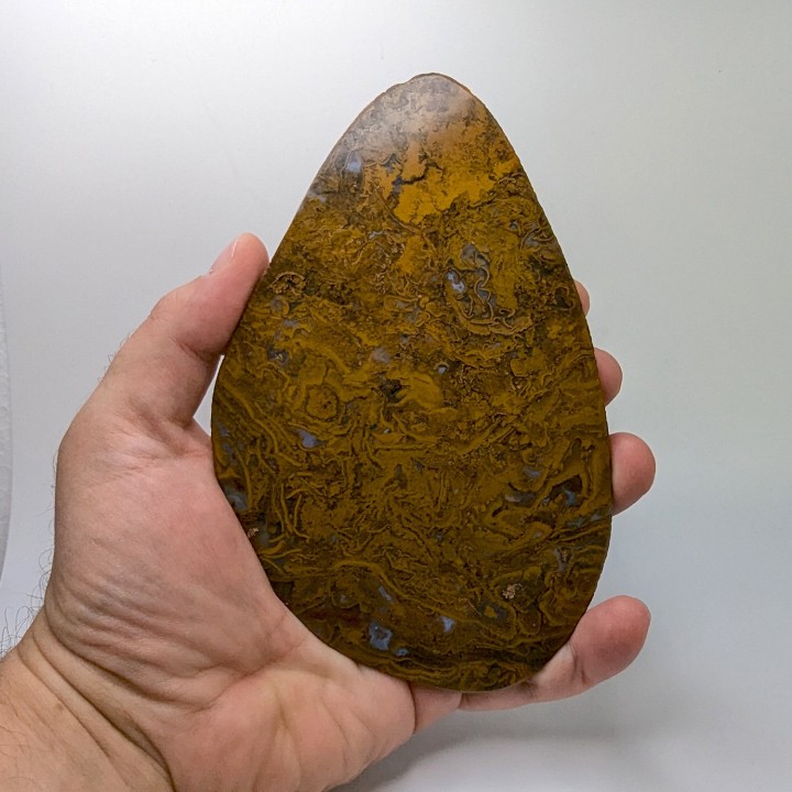 Slice of jasper, Brazil, 15 cm
