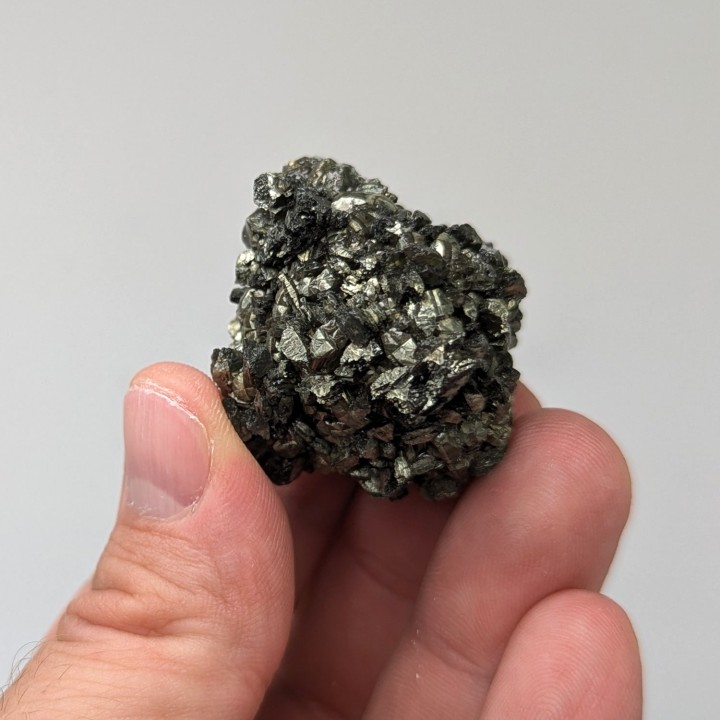 Sperkise à brachidômes, Cap Blanc-Nez, France, 62 grammes
