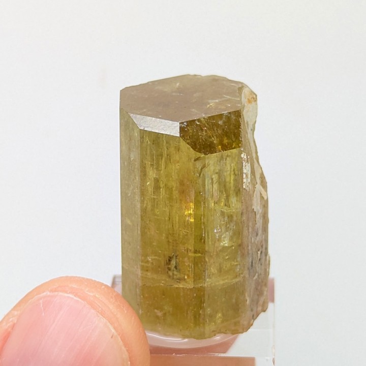 Apatite, Imilchil, Maroc, 2,4 cm
