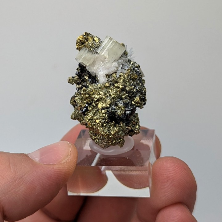 Apatite, pyrite, Julcani, Pérou, 3,3 cm