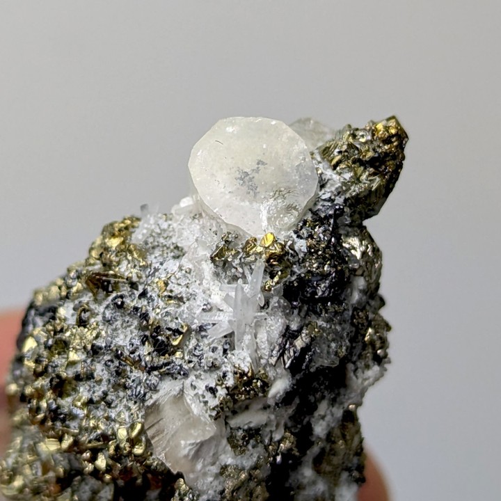 Apatite, pyrite, Julcani, Pérou, 3,3 cm